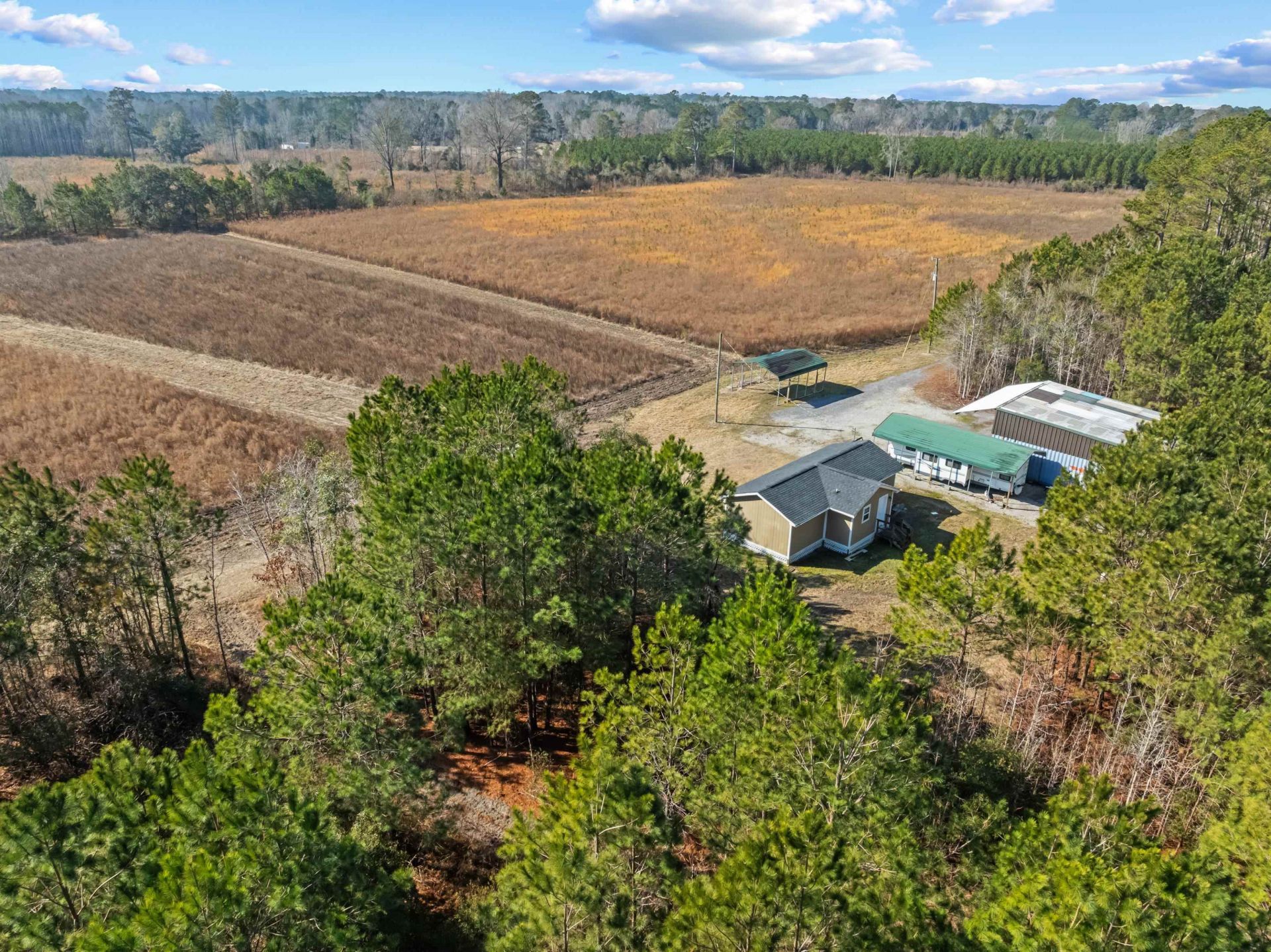 Tbd 183 Acres Blakely Rd.  Photo 24