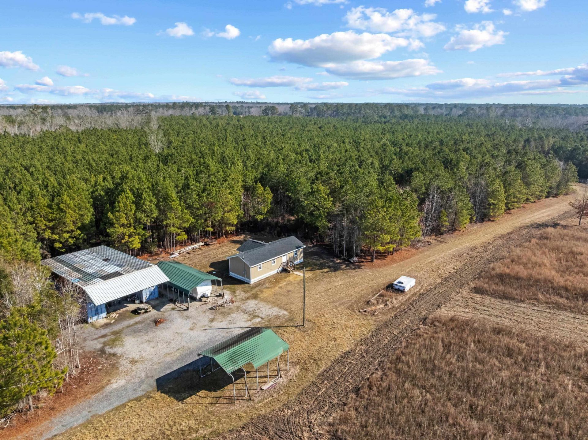 Tbd 183 Acres Blakely Rd.  Photo 25