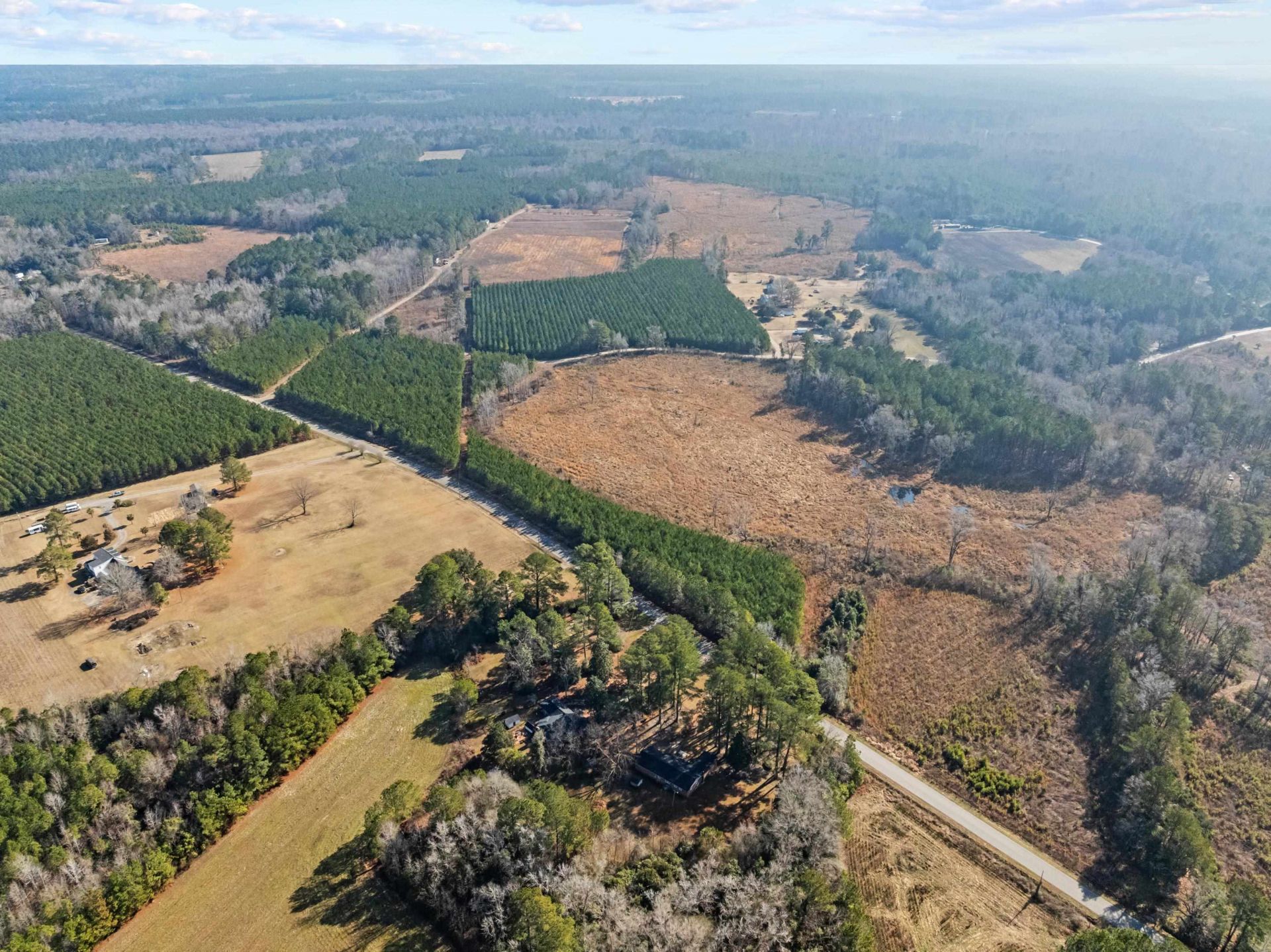 Tbd 183 Acres Blakely Rd.  Photo 26