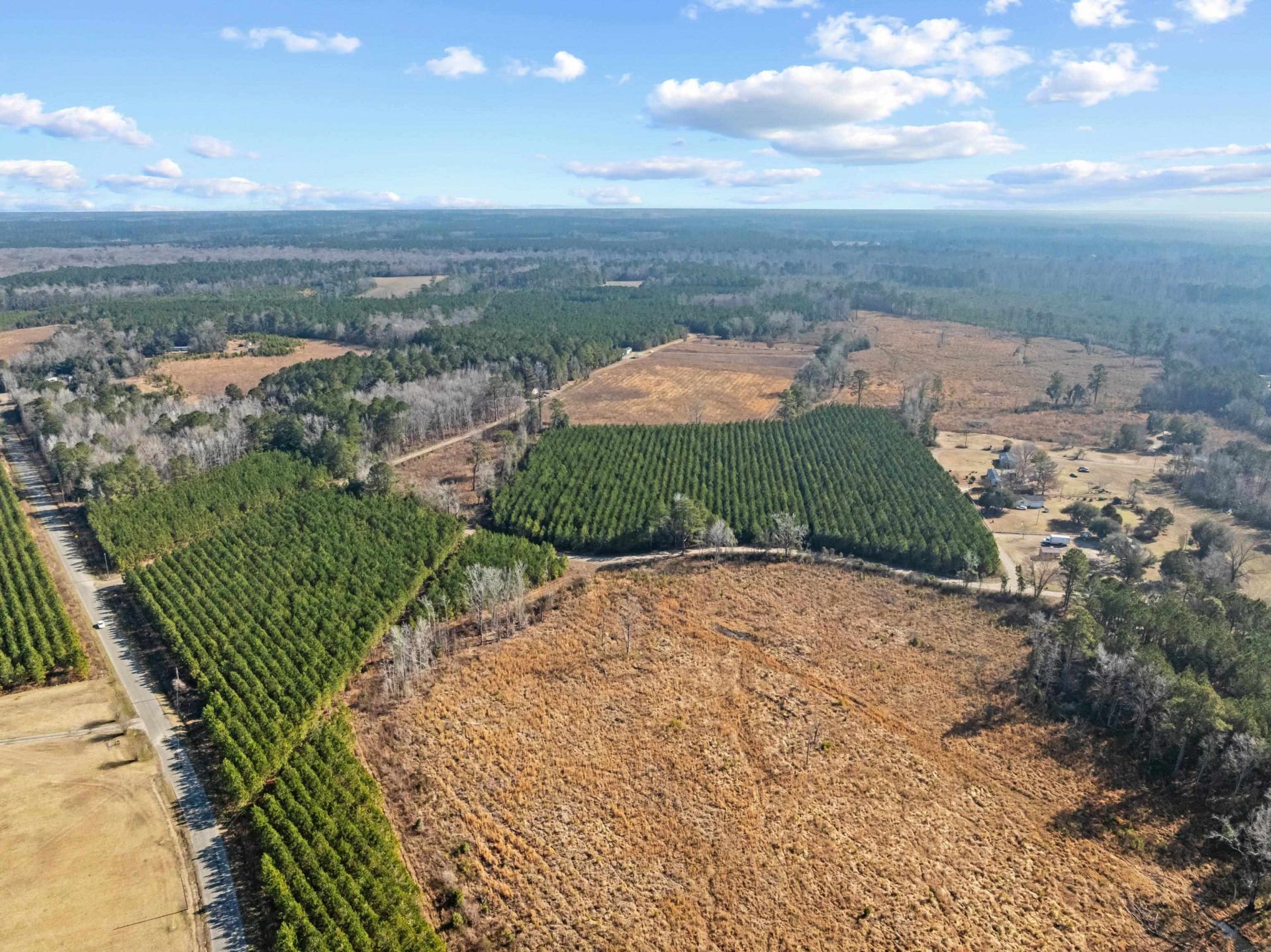Tbd 183 Acres Blakely Rd.  Photo 27