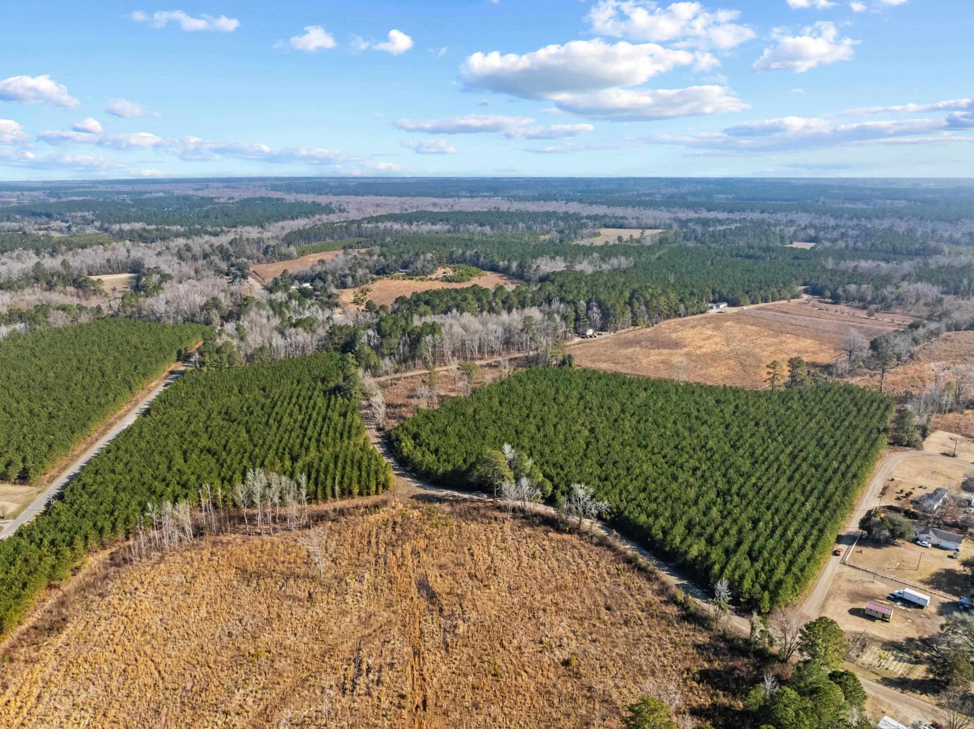 Tbd 183 Acres Blakely Rd.  Photo 28