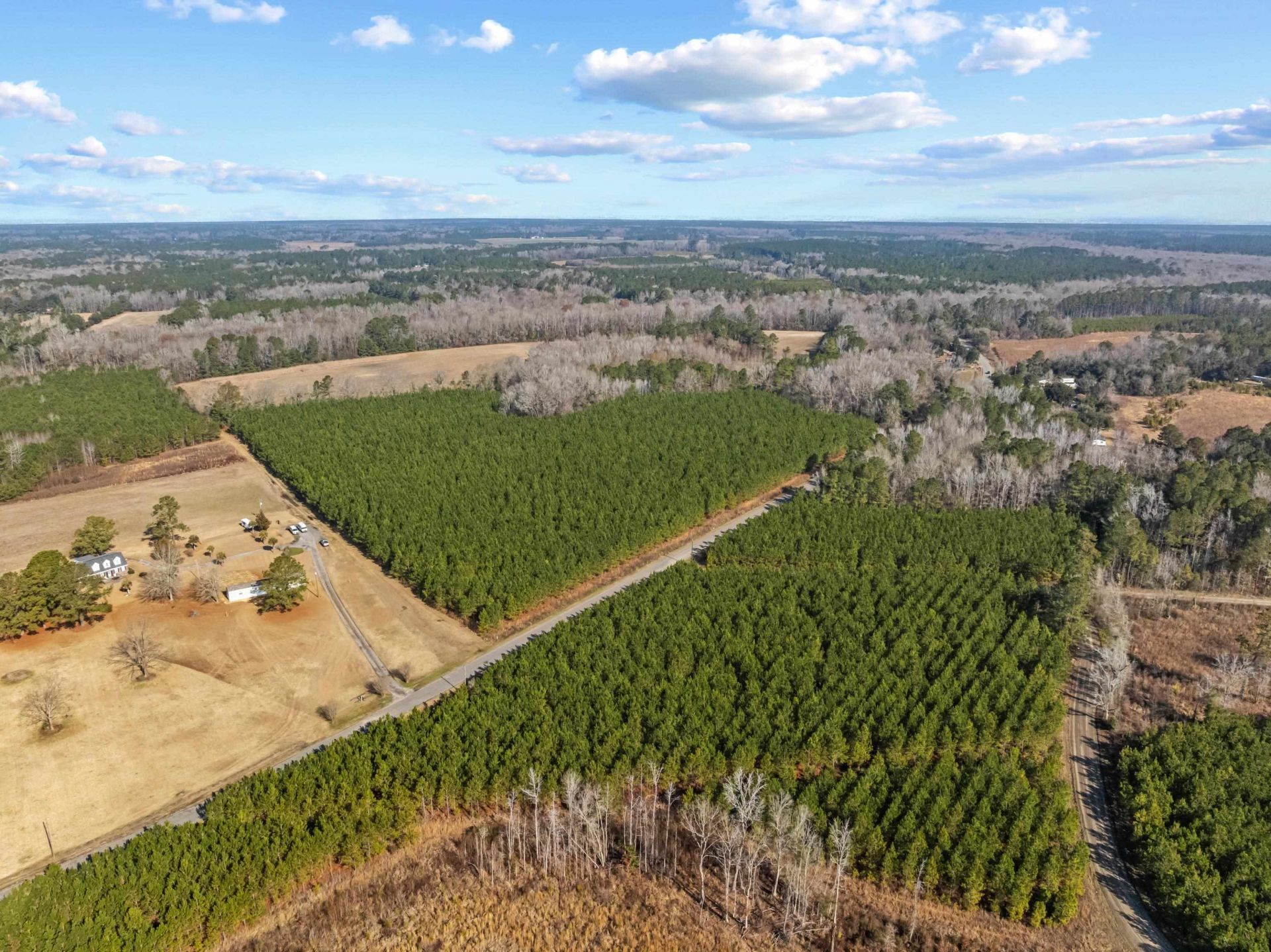 Tbd 183 Acres Blakely Rd.  Photo 29