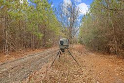 Tbd 183 Acres Blakely Rd.  photo 4