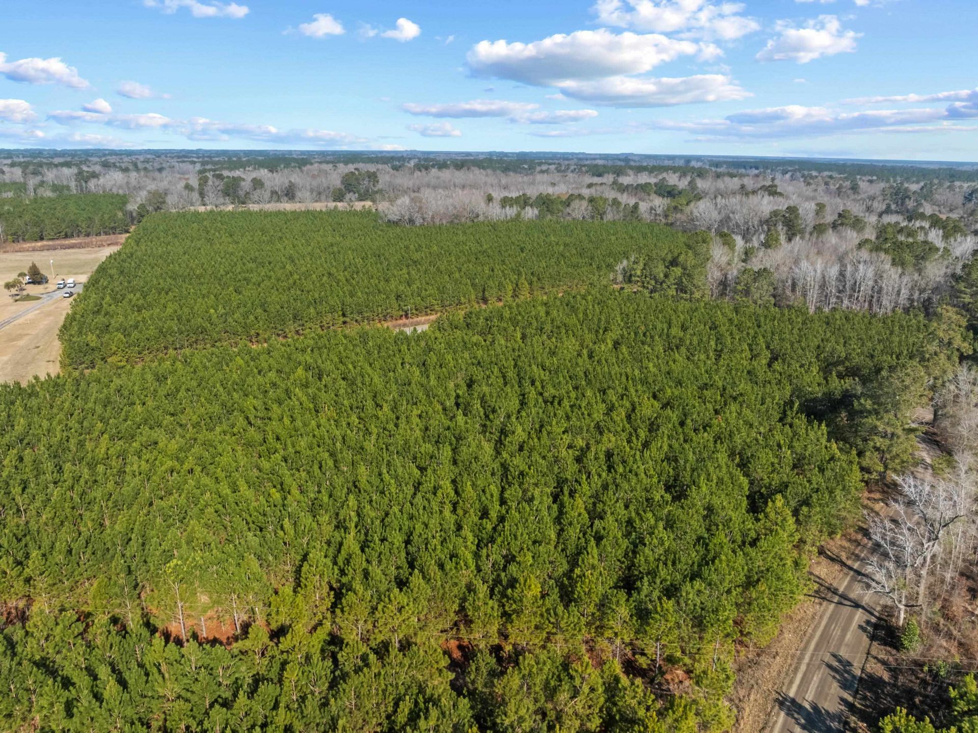 Tbd 183 Acres Blakely Rd.  Photo 30