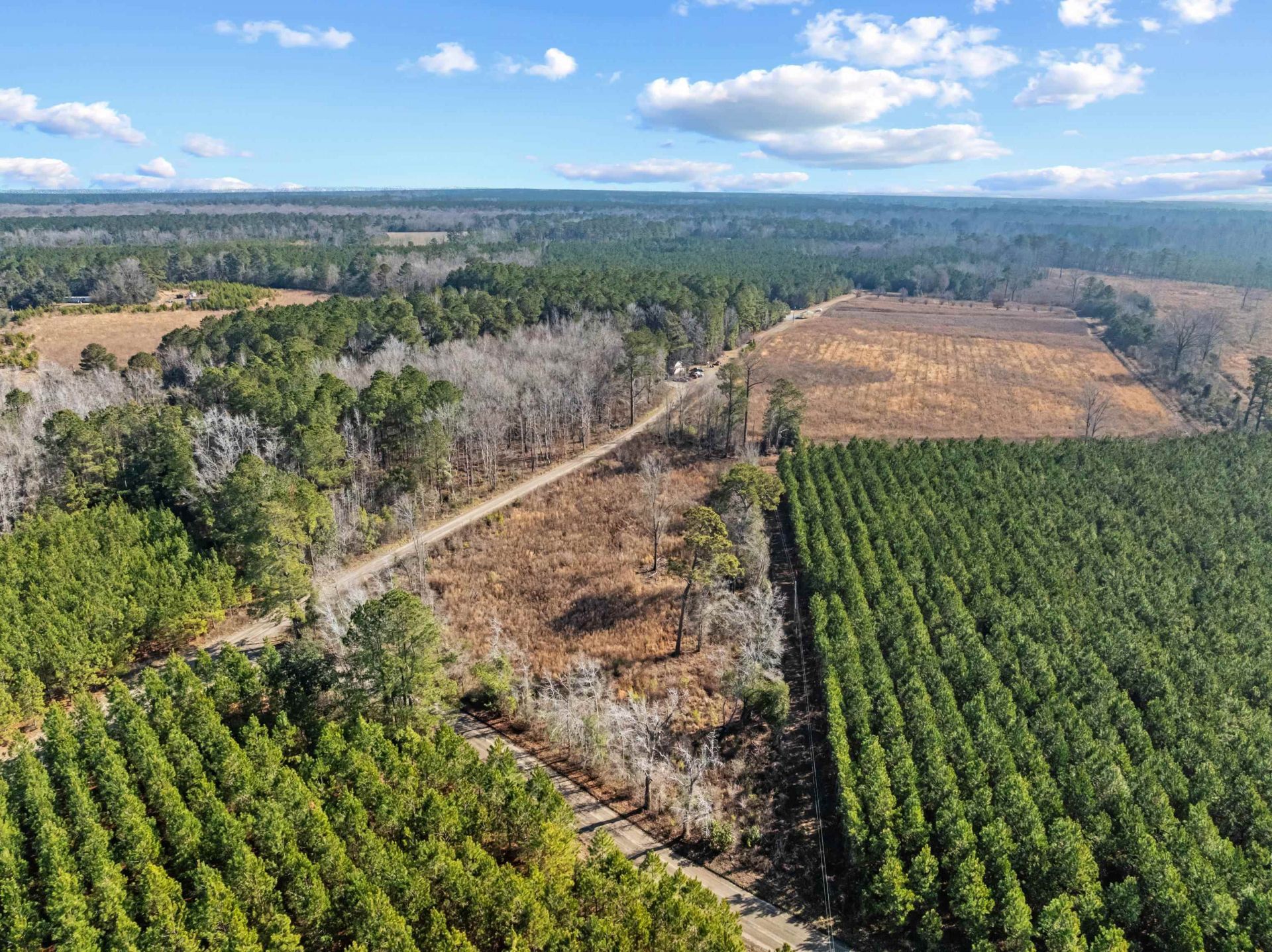 Tbd 183 Acres Blakely Rd.  Photo 31