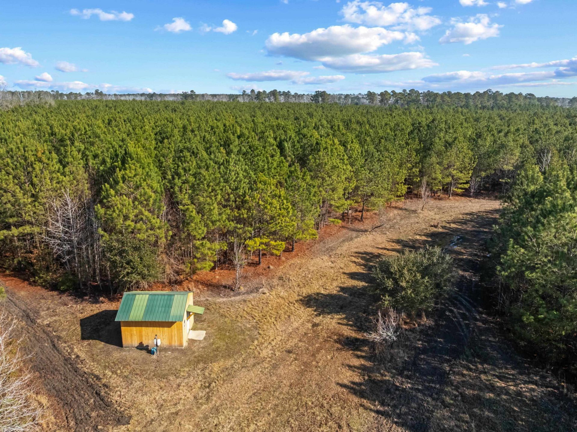 Tbd 183 Acres Blakely Rd.  Photo 32