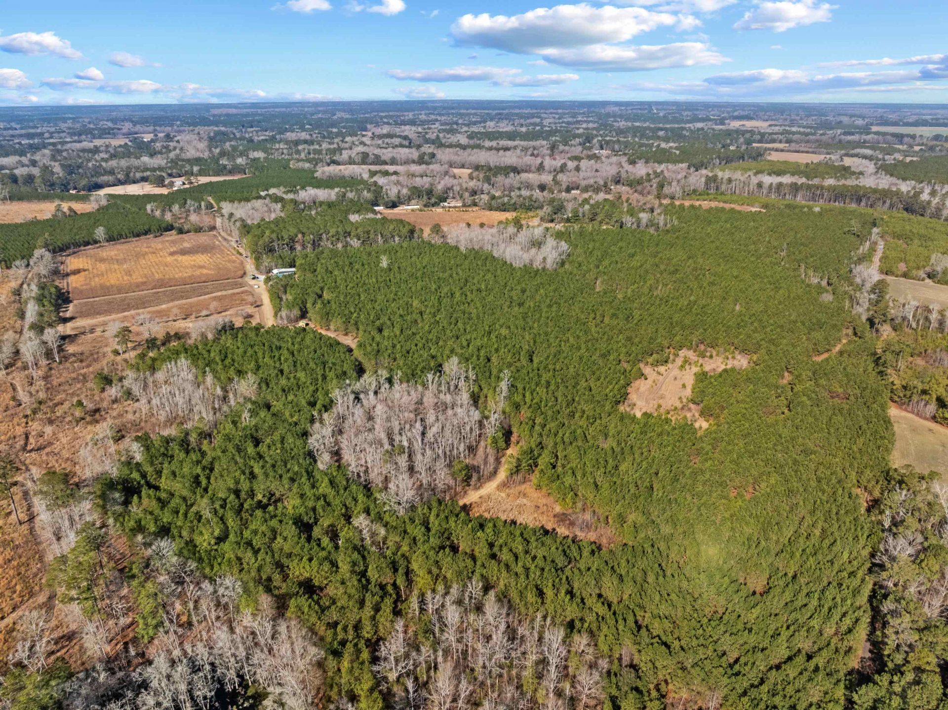 Tbd 183 Acres Blakely Rd.  Photo 33