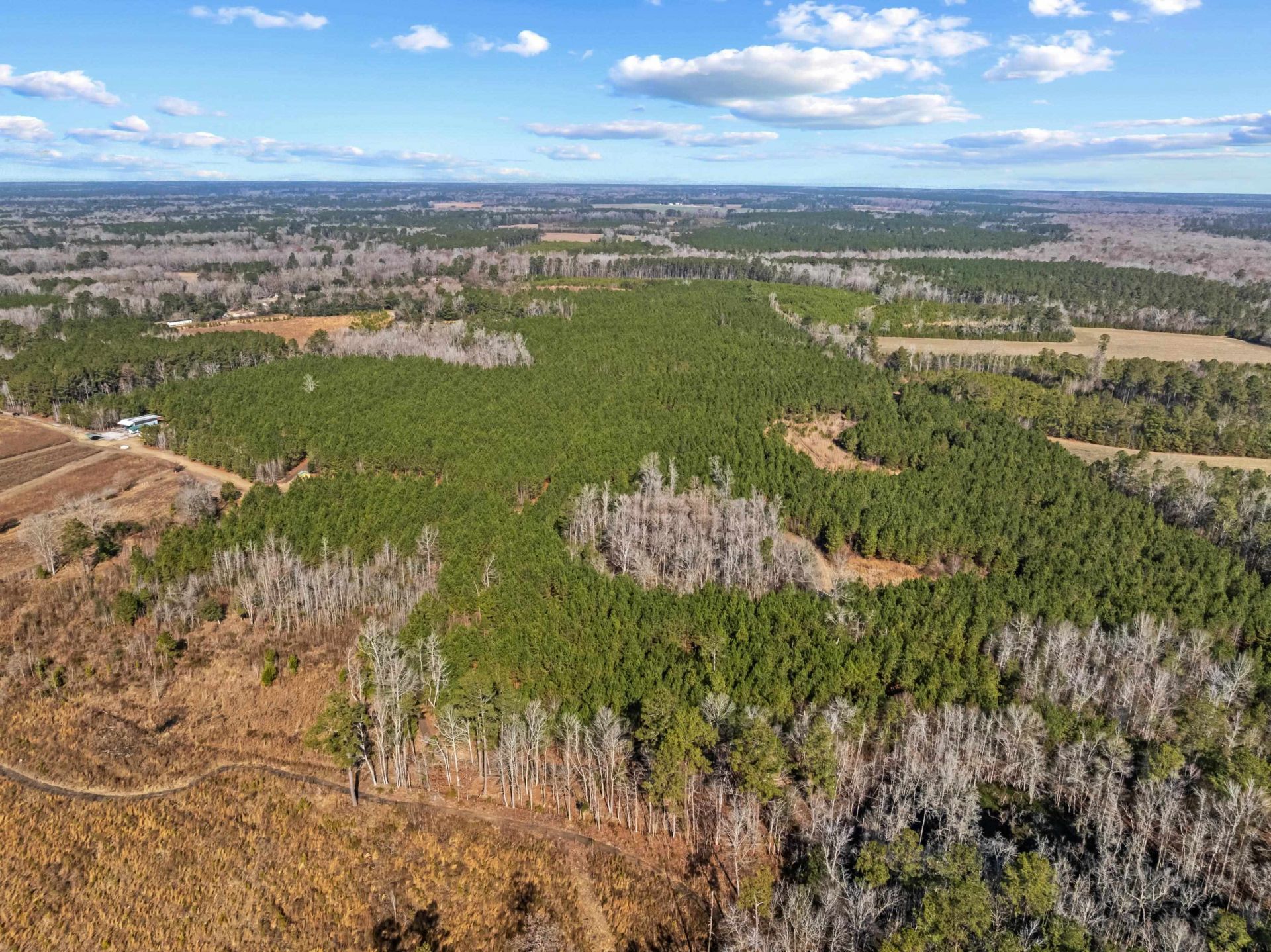 Tbd 183 Acres Blakely Rd.  Photo 34