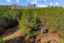 Tbd 183 Acres Blakely Rd.  photo 4