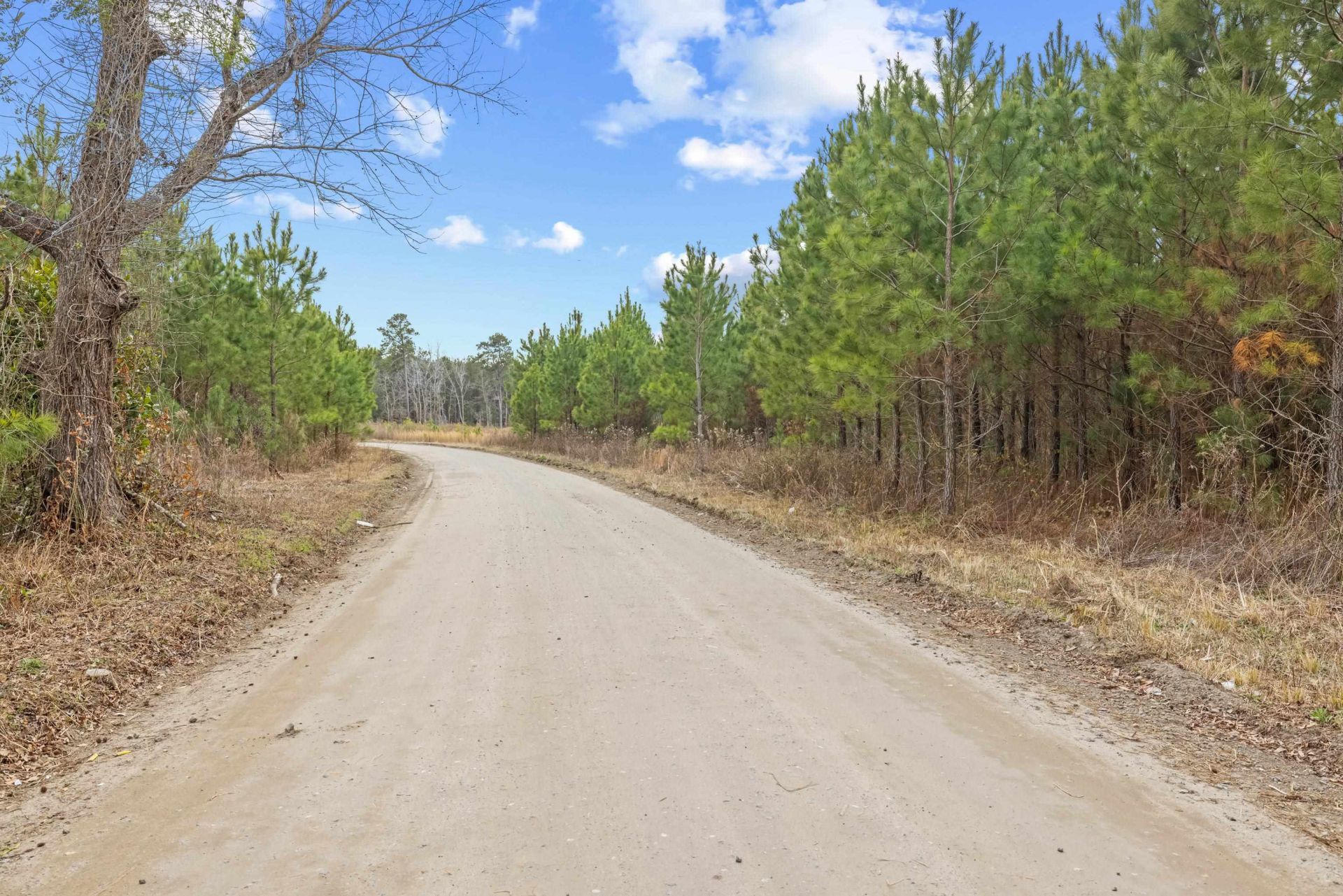 Tbd 183 Acres Blakely Rd.  Photo 40