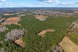 Tbd 183 Acres Blakely Rd.  photo 4