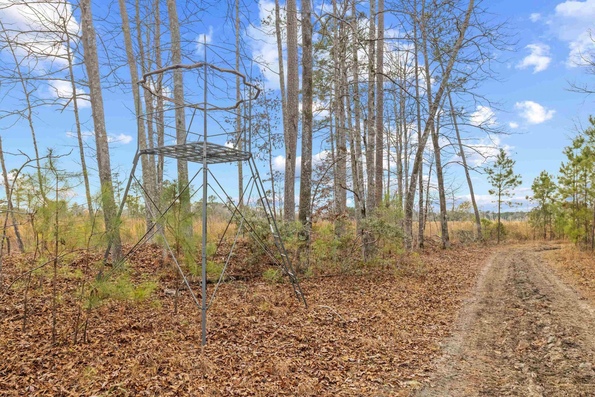 Tbd 183 Acres Blakely Rd.  Photo 8