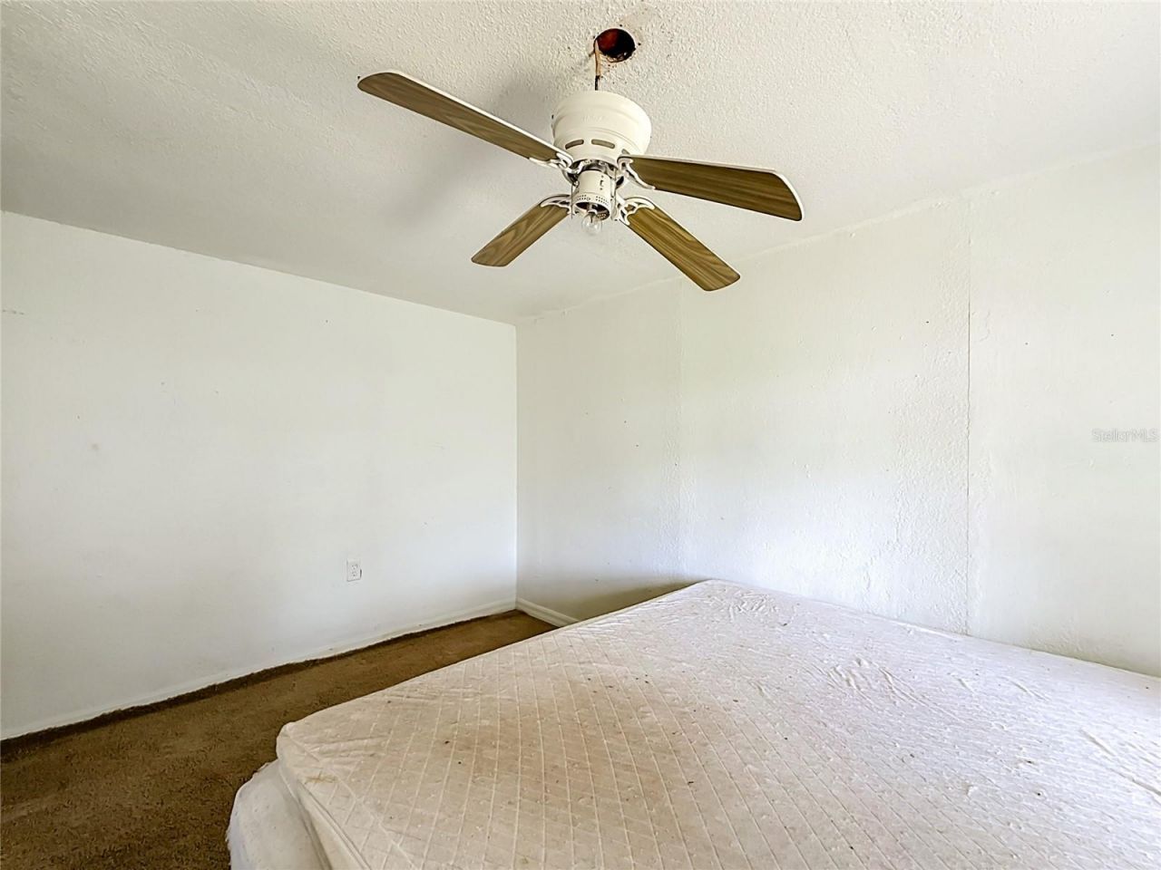 31032 Rory Lane , Eustis, FL 32736 Photo