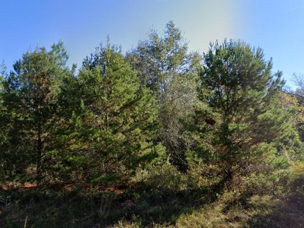 PARKVIEW LOT 13 DRIVE , CHIPLEY, FL 32428