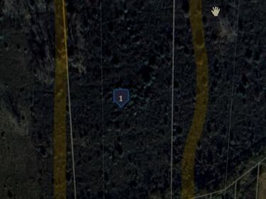 Argonne Ave 5 Acres Argonne Avenue , Brownstown Twp, MI 48134