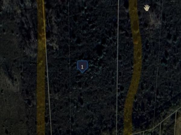 Argonne Ave 5 Acres Argonne Avenue , Brownstown Twp, MI 48134