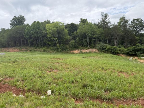 0 Bear Lane , Tellico Plains, TN 37385