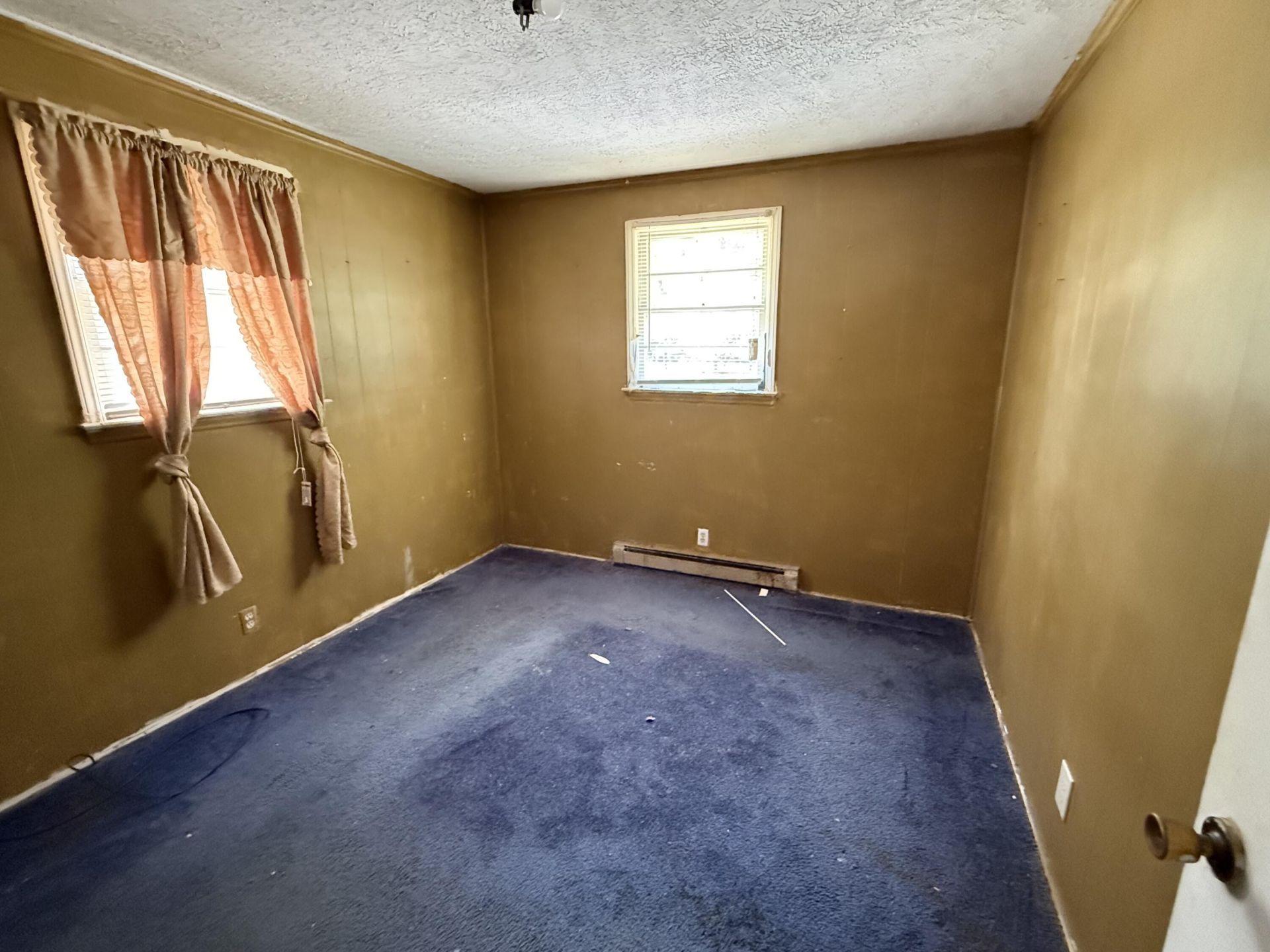 118 Foxie Lane Photo 7
