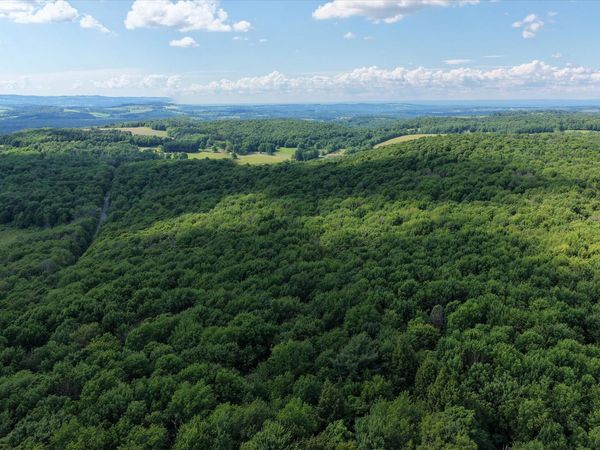 L27.5 Gorton Lake Rd, Waterville, NY 13455