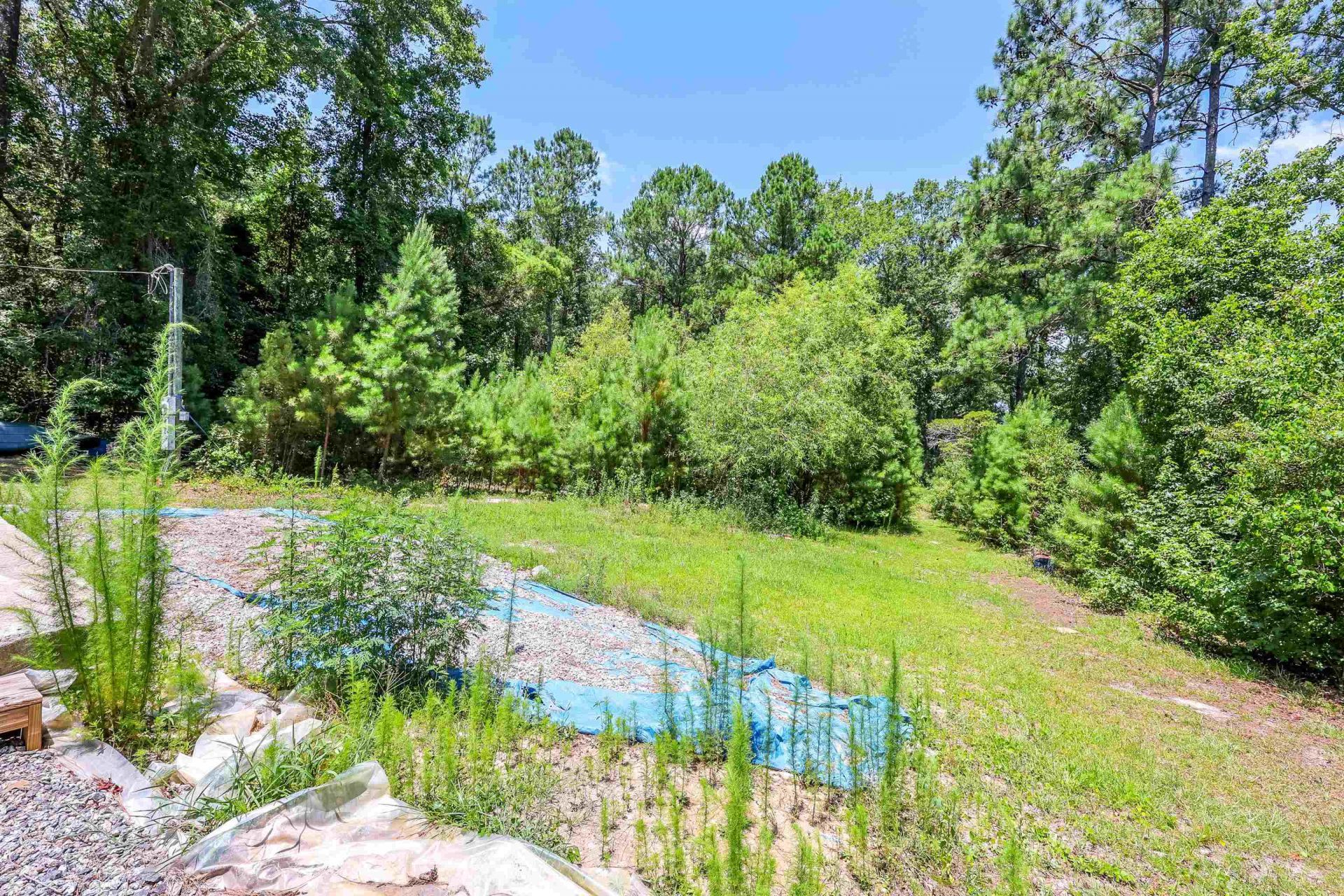 297 Crystal Lane Rd.  Photo 5