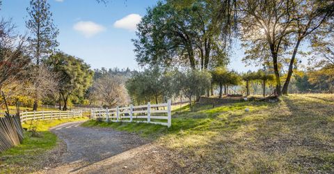 3281 Yearling Trl, Placerville, CA 95667 Photo