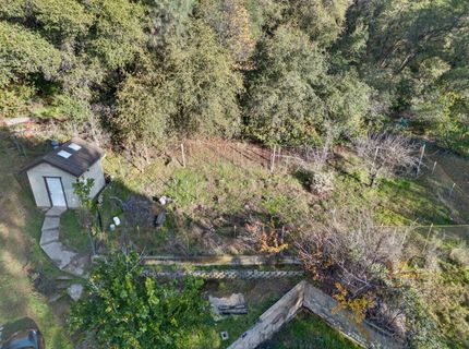 3281 Yearling Trl, Placerville, CA 95667 Photo
