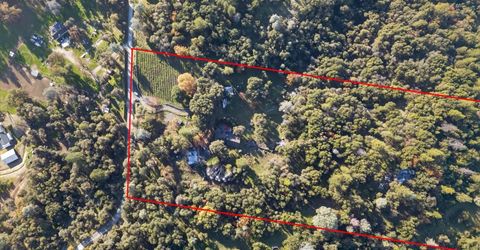 3281 Yearling Trl, Placerville, CA 95667 Photo