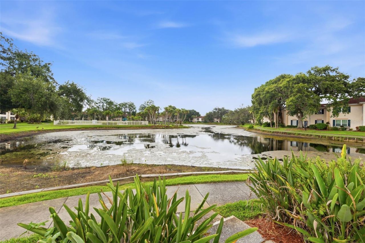 10316 Club Circle, Unit 41, Tampa, FL 33618 Photo