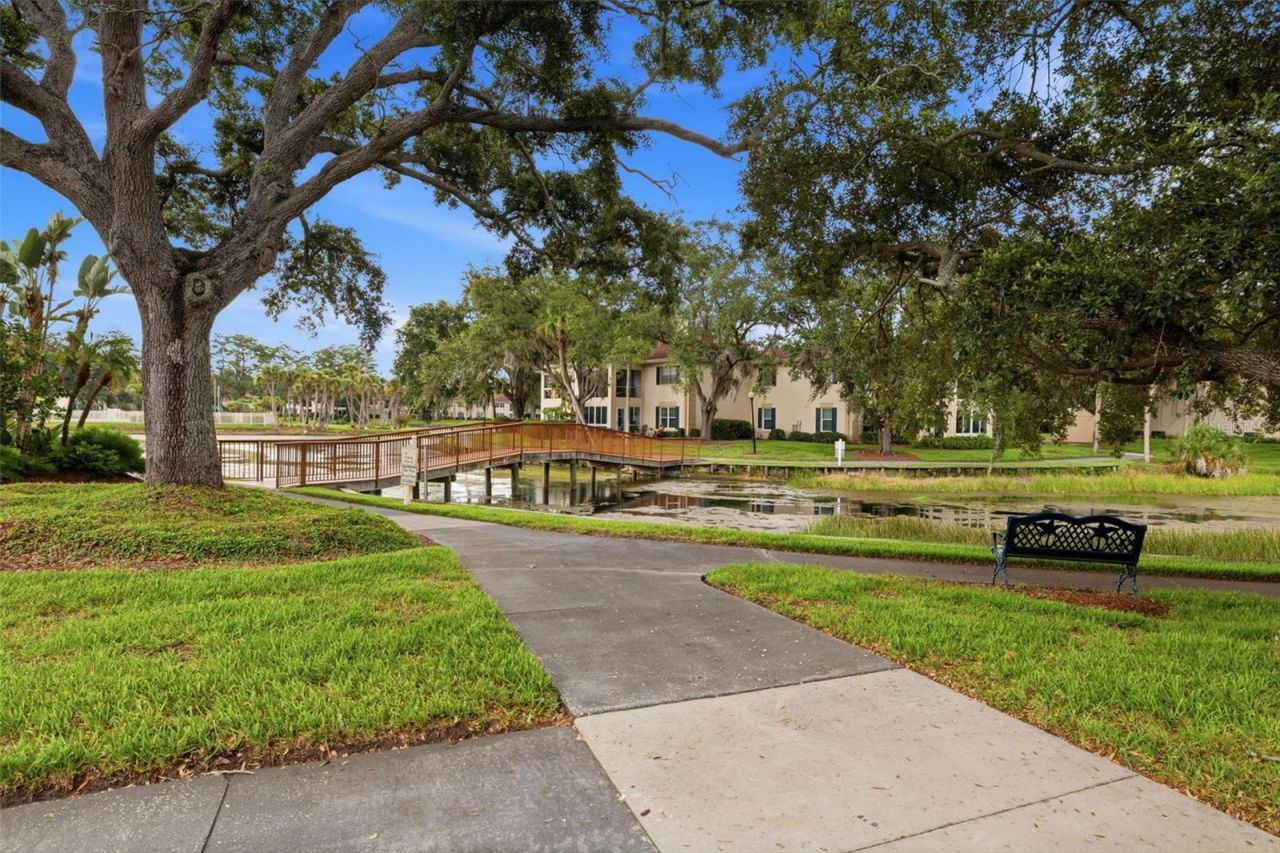 10316 Club Circle, Unit 41, Tampa, FL 33618 Photo