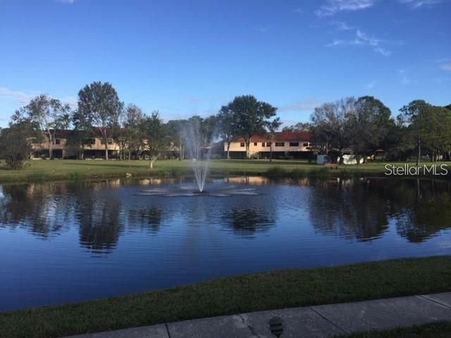 7975 58th Avenue N, Unit 408, Saint Petersburg, FL 33709 Photo