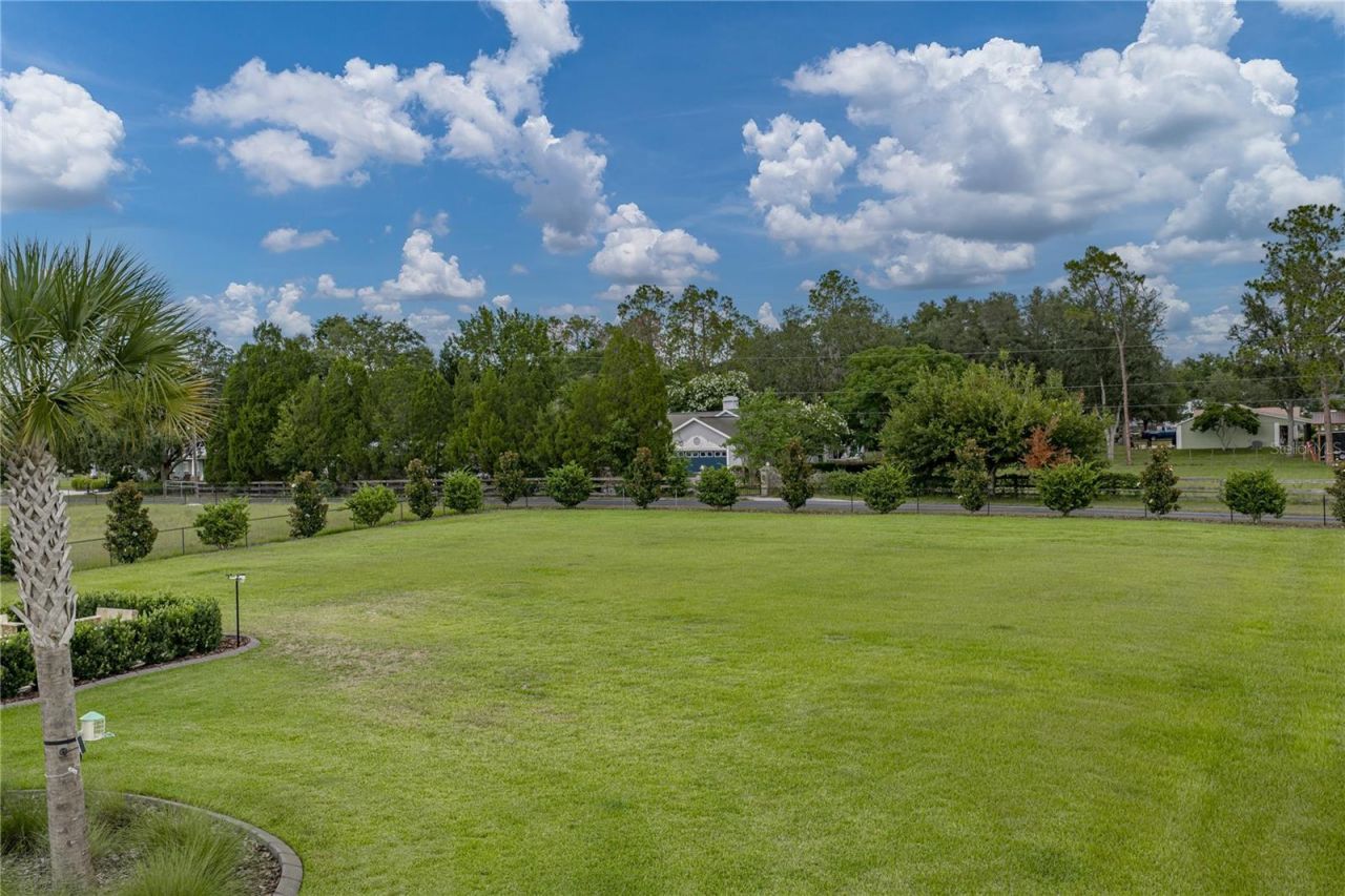 32655 Wesley Way, Dade City, FL 33525 Photo