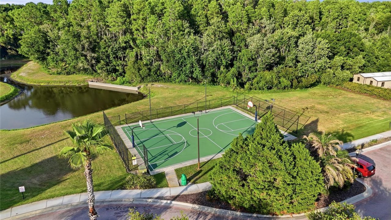 10711 Cory Lake Drive, Tampa, FL 33647 Photo