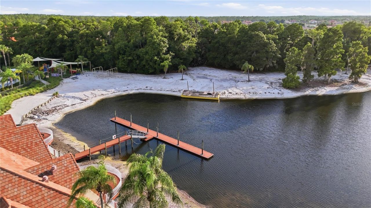 10711 Cory Lake Drive, Tampa, FL 33647 Photo