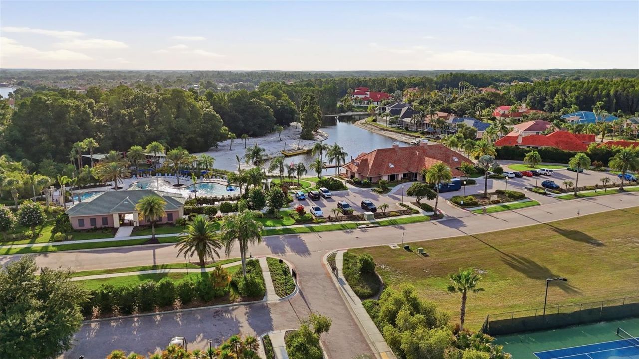 10711 Cory Lake Drive, Tampa, FL 33647 Photo