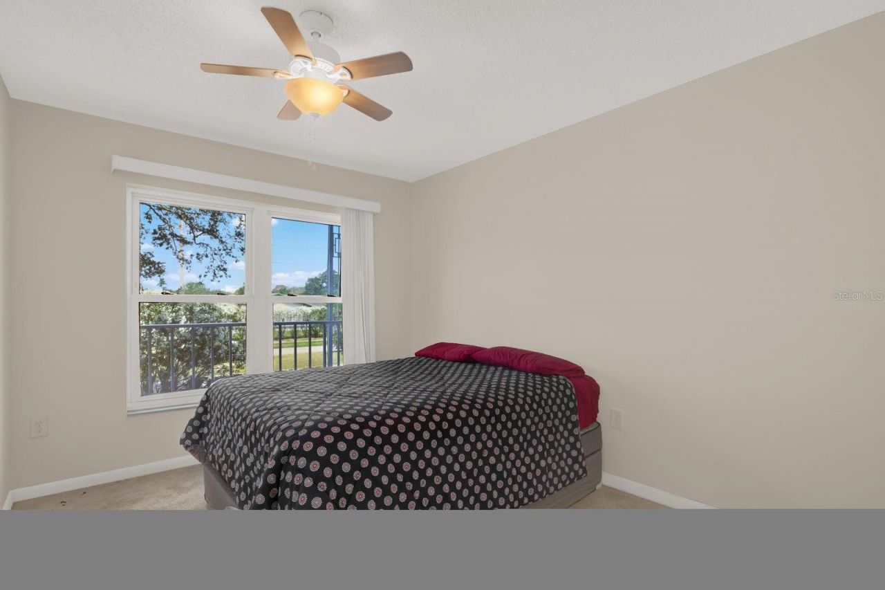 4939 Floramar Terrace , Unit 204, New Port Richey, FL 34652 Photo