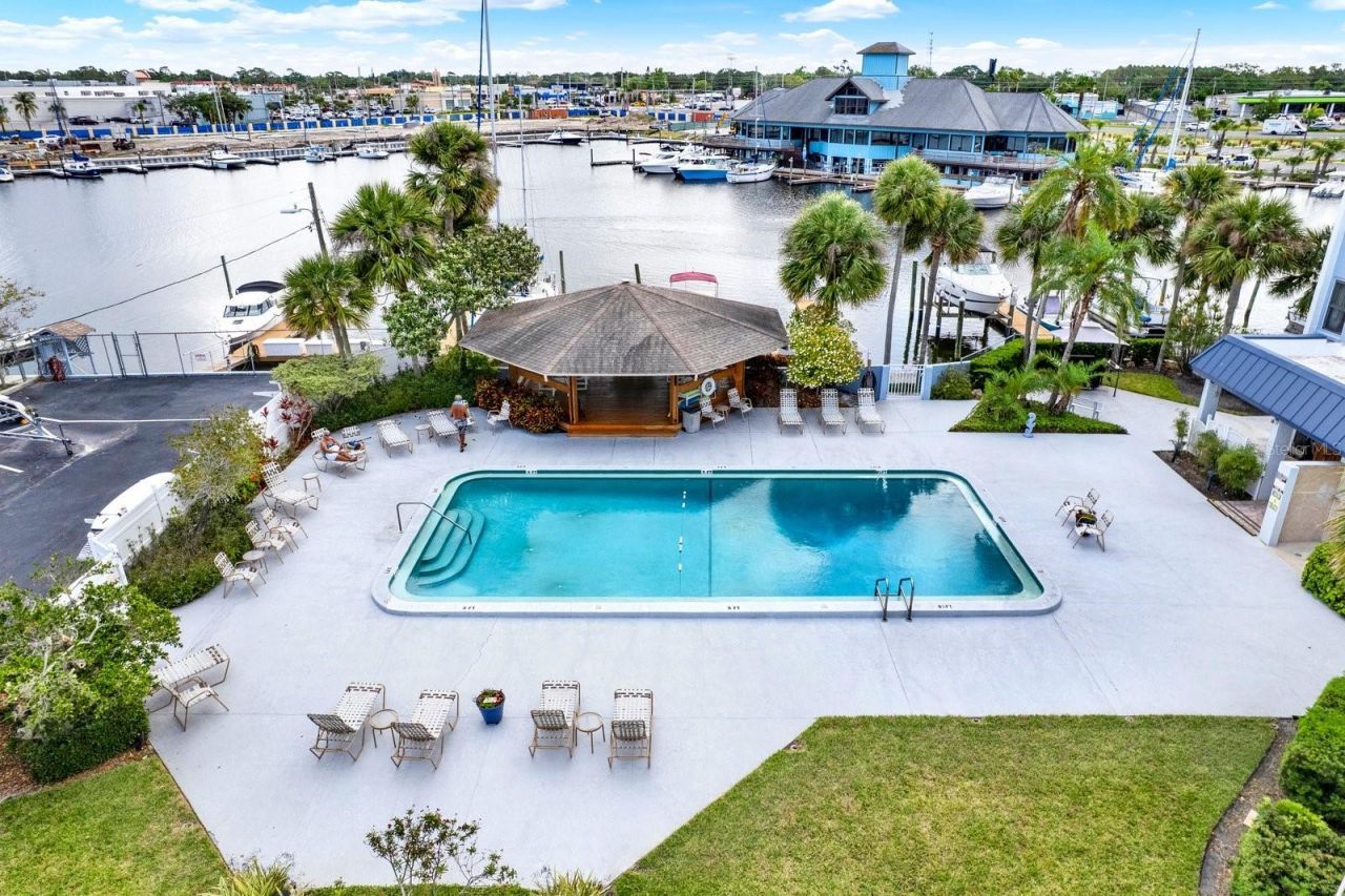 4939 Floramar Terrace , Unit 204, New Port Richey, FL 34652 Photo