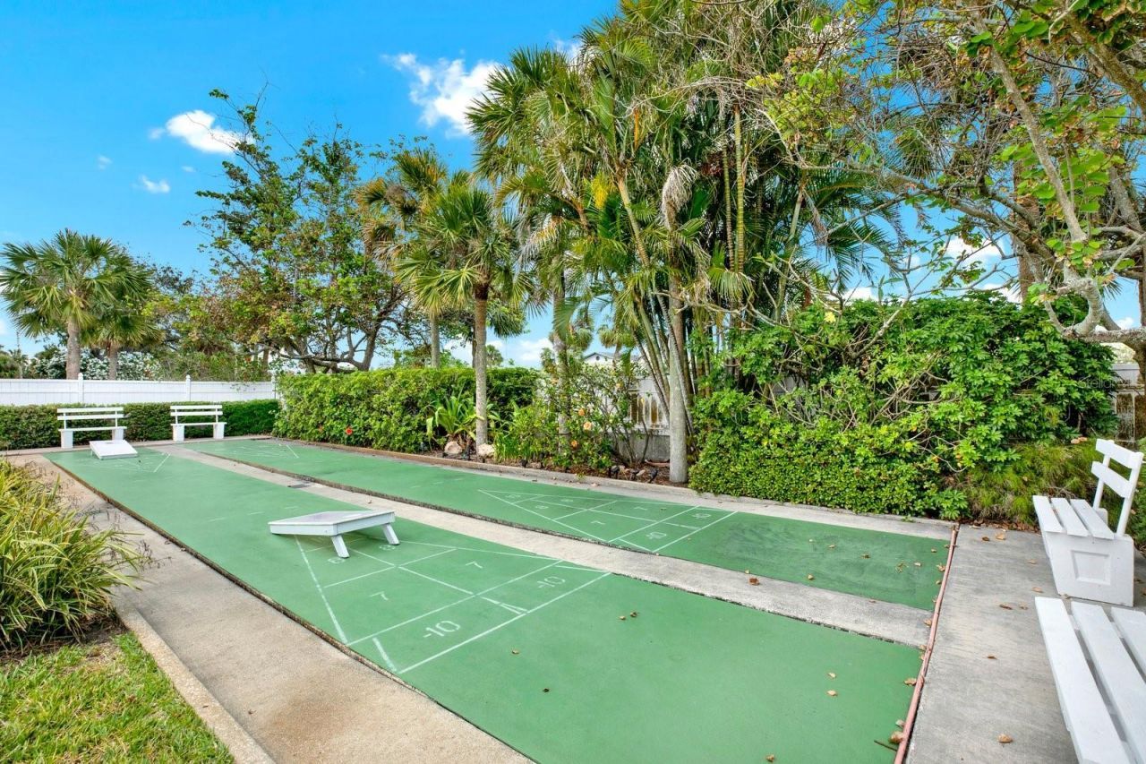 4939 Floramar Terrace , Unit 204, New Port Richey, FL 34652 Photo