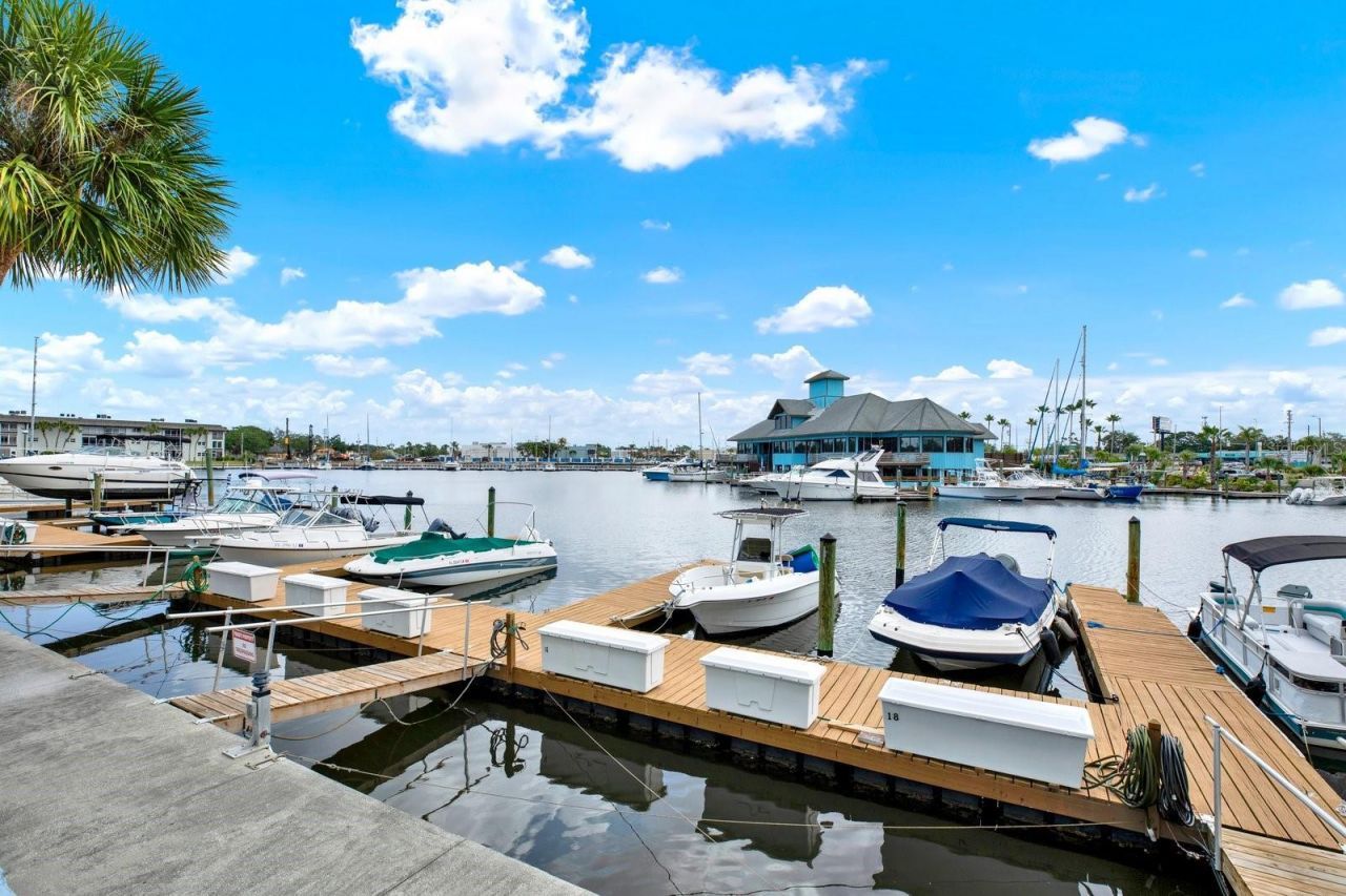 4939 Floramar Terrace , Unit 204, New Port Richey, FL 34652 Photo
