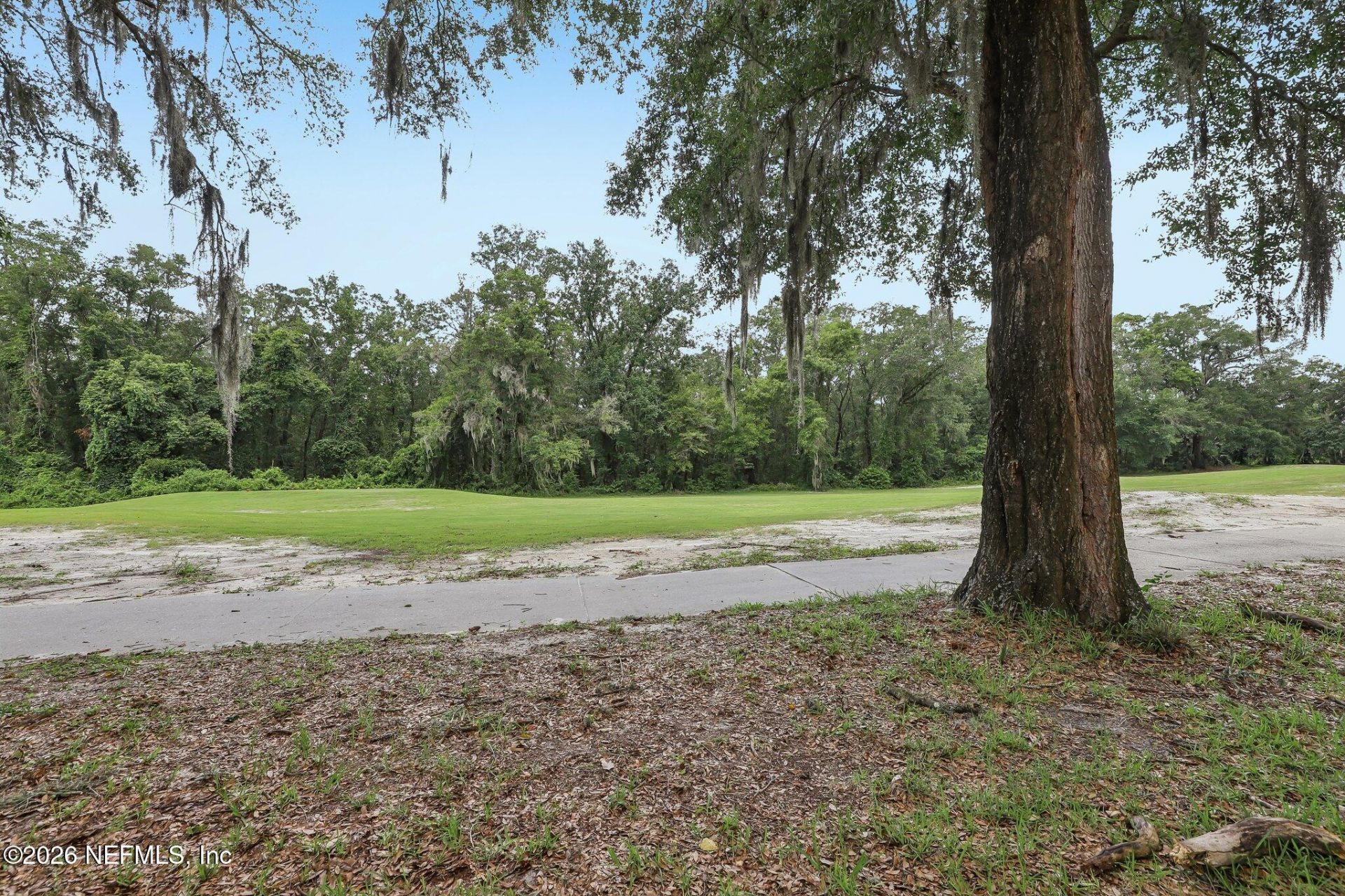 3686 St Andrews Court, Green Cove Springs, FL 32043 Photo