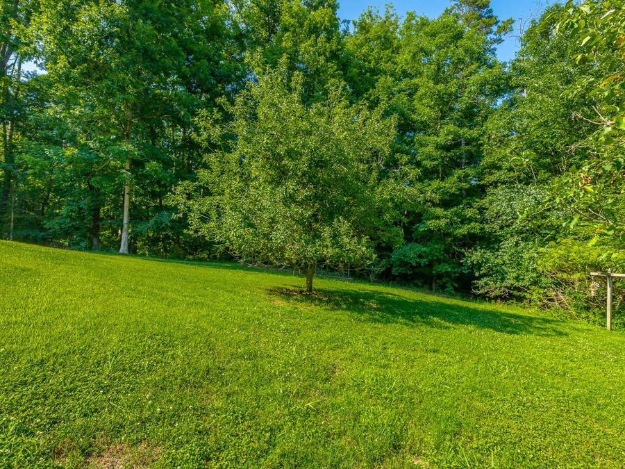 Property Image 115