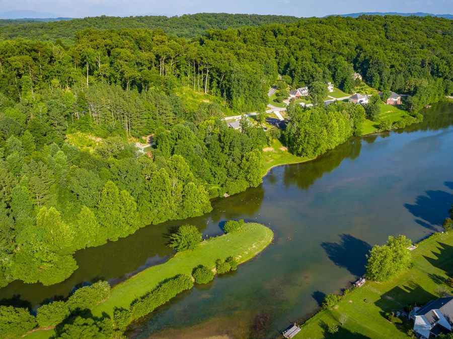 Property Image 100