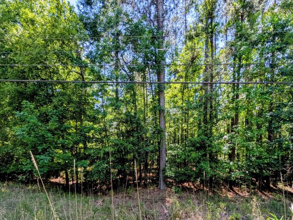 LOT 73 AND 238 Island Creek Drive, Sparta, GA 31087