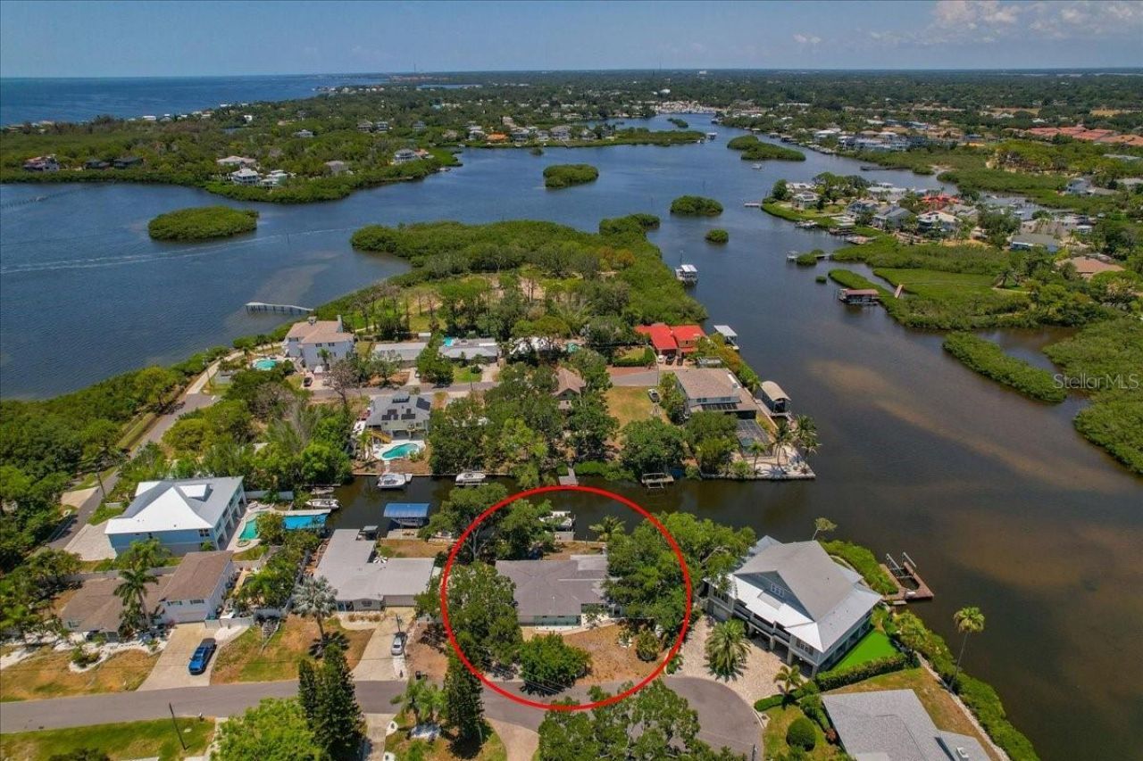 404 Laurel Lane, Palm Harbor, FL 34683 Photo