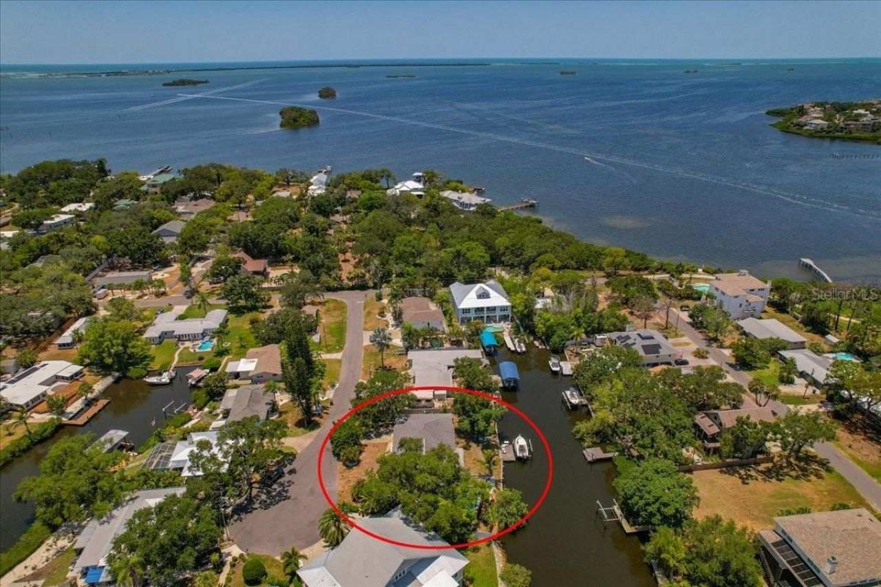 404 Laurel Lane, Palm Harbor, FL 34683 Photo