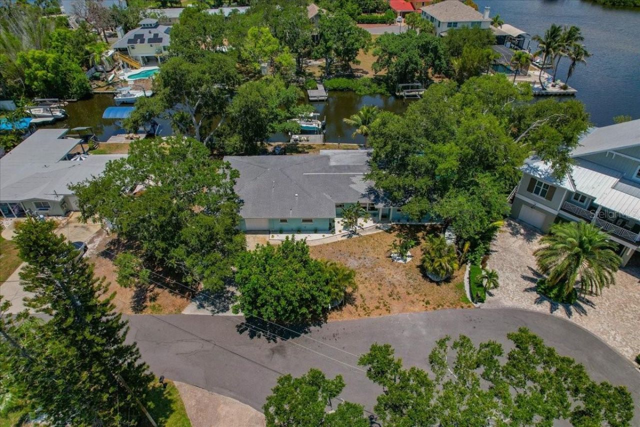 404 Laurel Lane, Palm Harbor, FL 34683 Photo