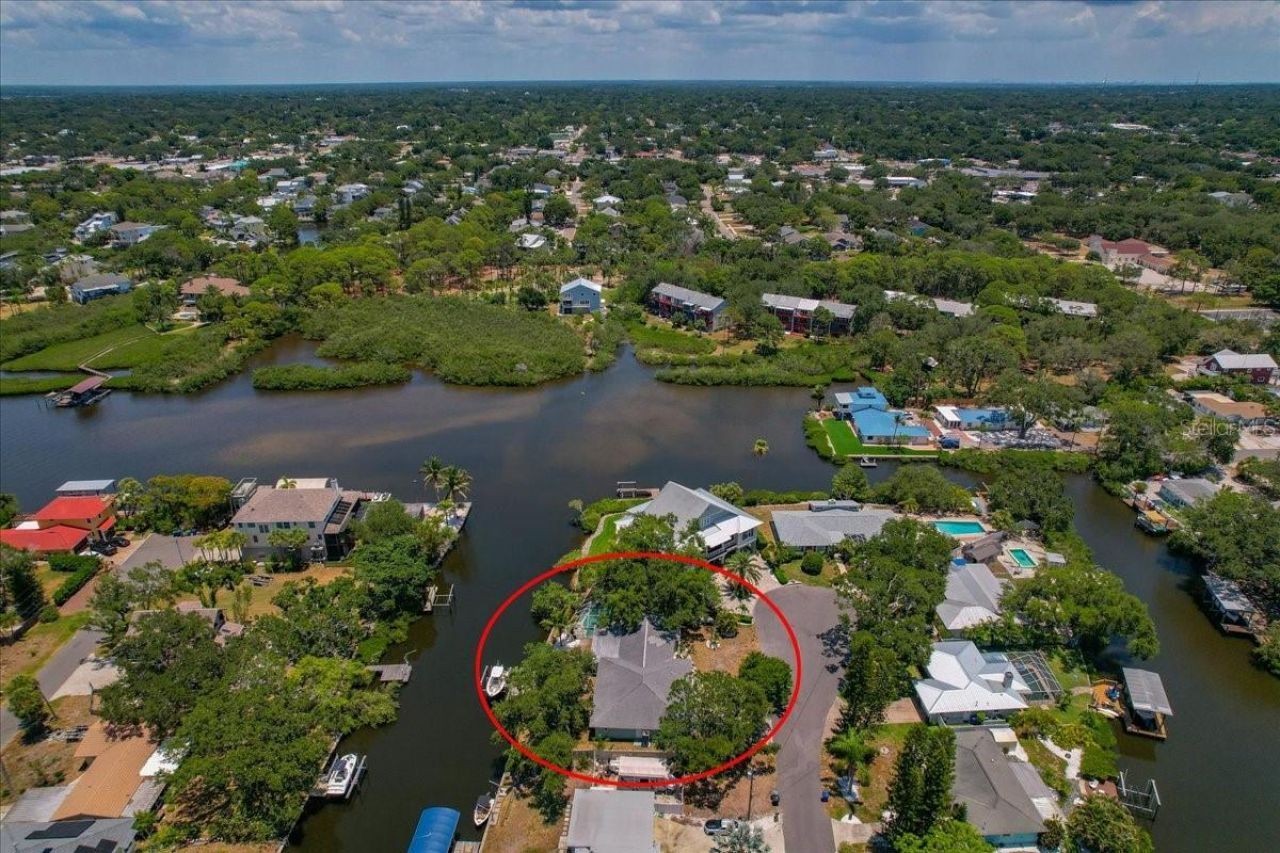 404 Laurel Lane, Palm Harbor, FL 34683 Photo