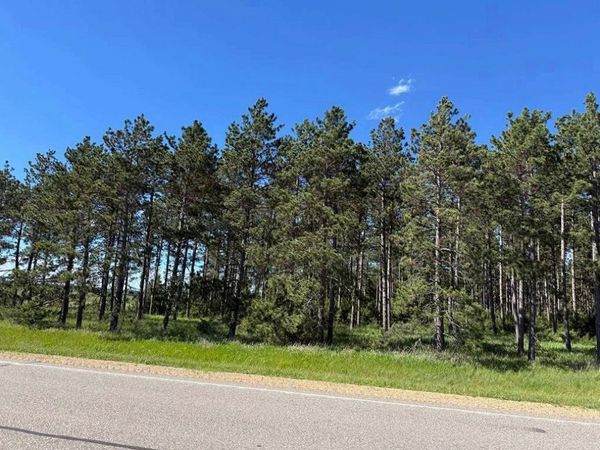 TBD County 48, Park Rapids, MN 56470