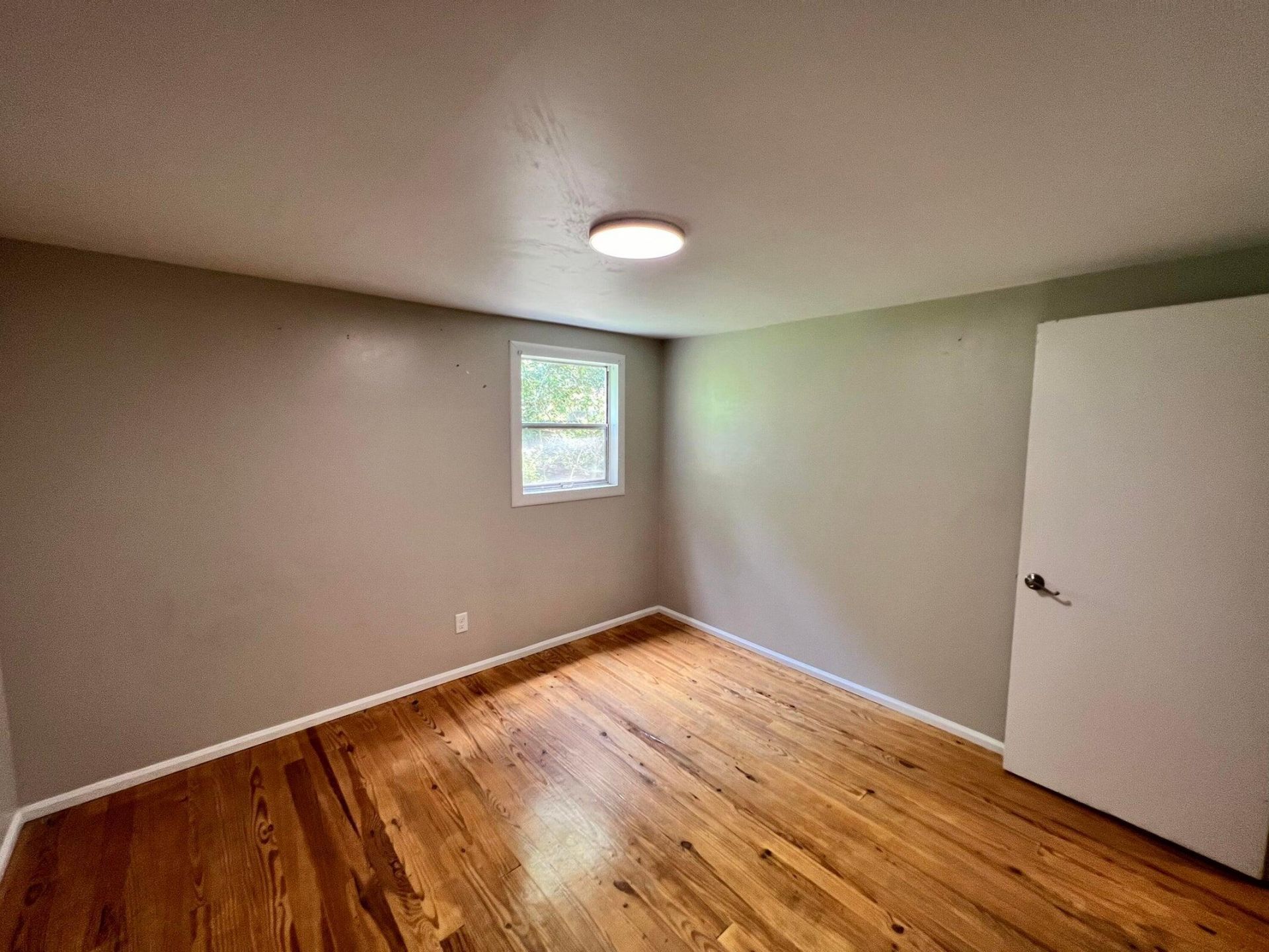 1005 Kirby Drive Photo 12