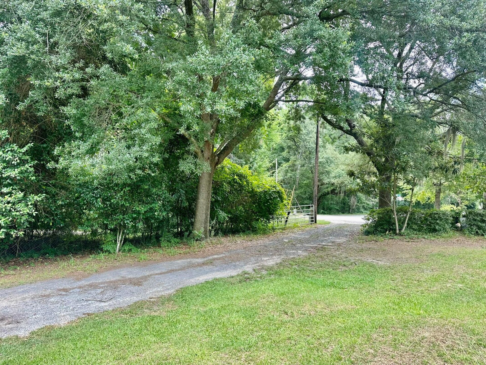 1005 Kirby Drive Photo 6