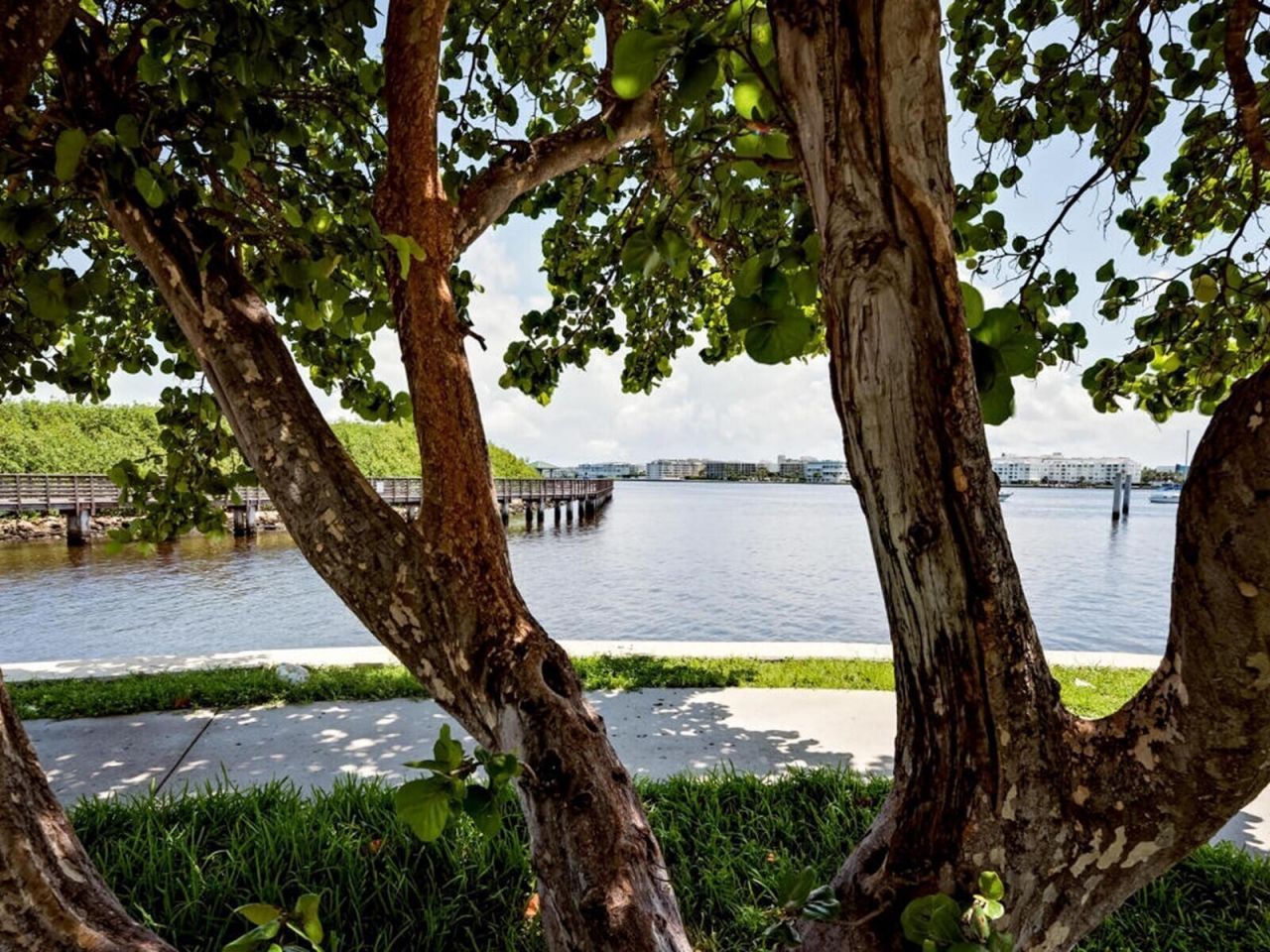 511 Lucerne Avenue, Unit 312, Lake Worth Beach, FL 33460 Photo